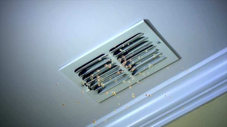 Best Air Duct Cleaning Near Me  in Orting, WA